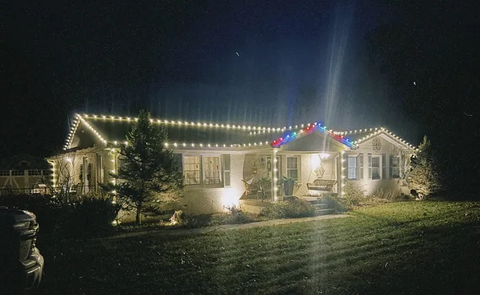 Warm white string lights wrapped around trees and shrubs for the holidays