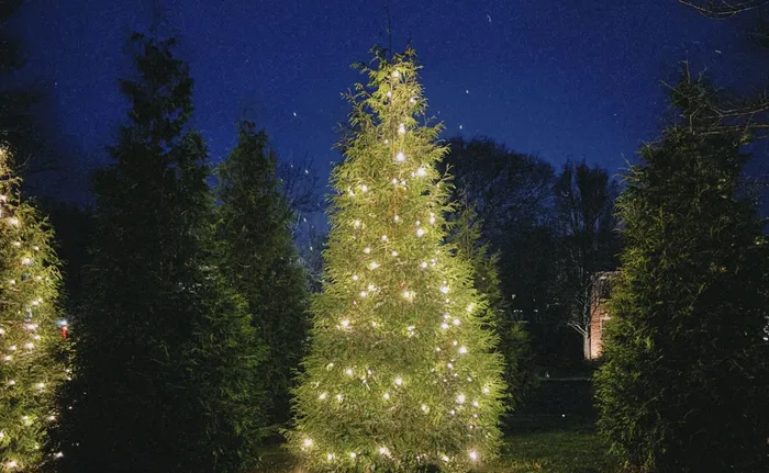 Holiday lighting along a home's porch, columns, and landscaping
