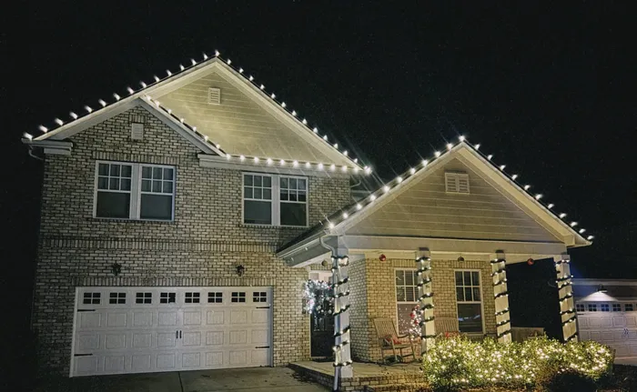 A tree wrapped in warm white Christmas lights in a Williamson County yard