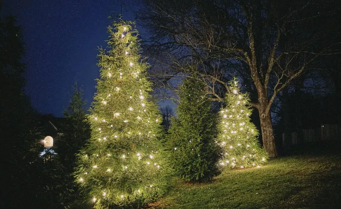 Professional Christmas light installation on a home's gables and entryway, Williamson County, TN