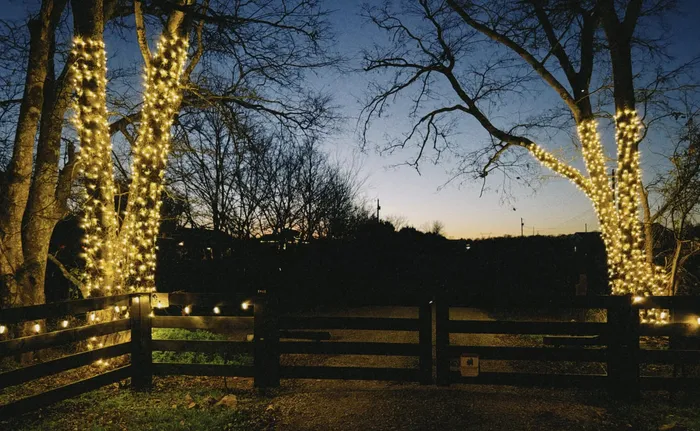 Christmas lights tracing the roofline of a home in Williamson County, TN