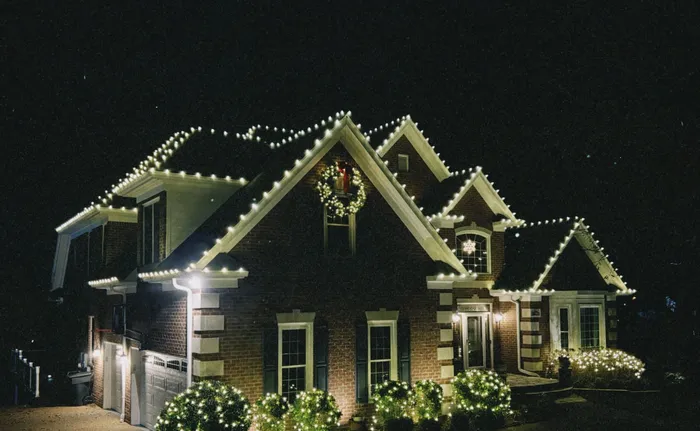 Warm white string lights wrapped around trees and shrubs for the holidays