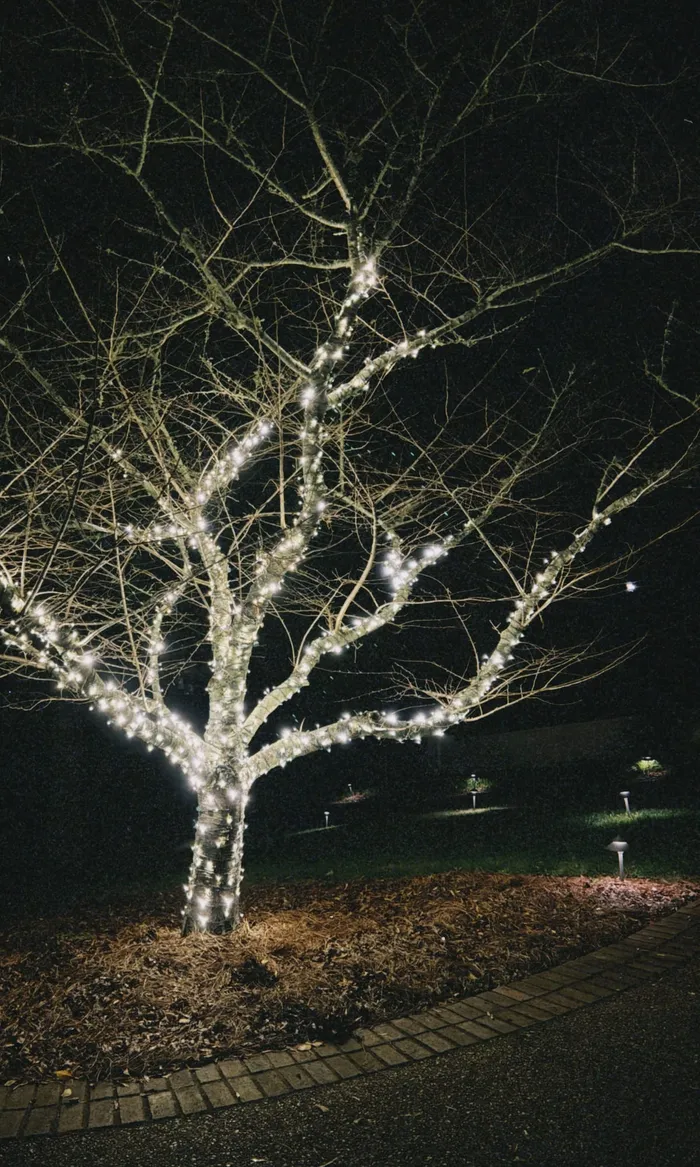 Custom Christmas lights installed along the roofline and landscaping of a Williamson County home