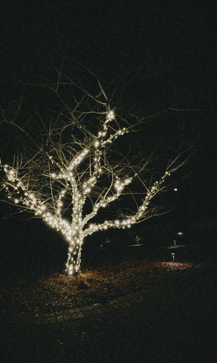 Professional Christmas light installation on a home's gables and entryway, Williamson County, TN