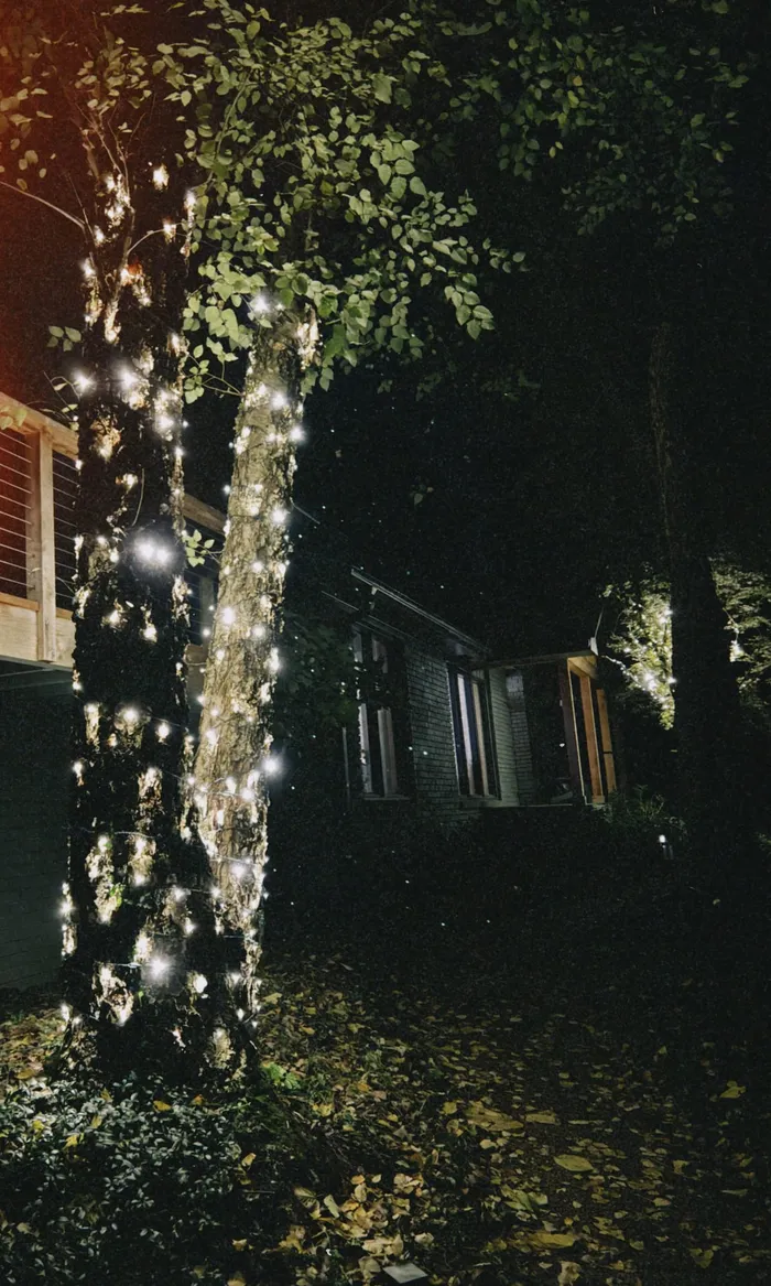 A tree wrapped in warm white Christmas lights in a Williamson County yard