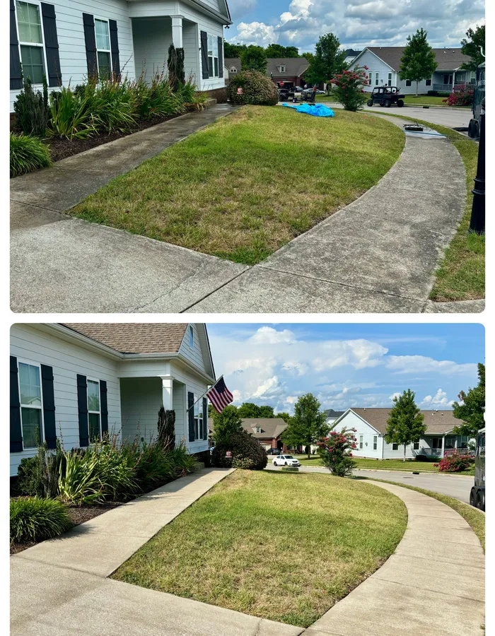 Before and after driveway and walkway cleaning, showing dirt and algae buildup lifted from the concrete