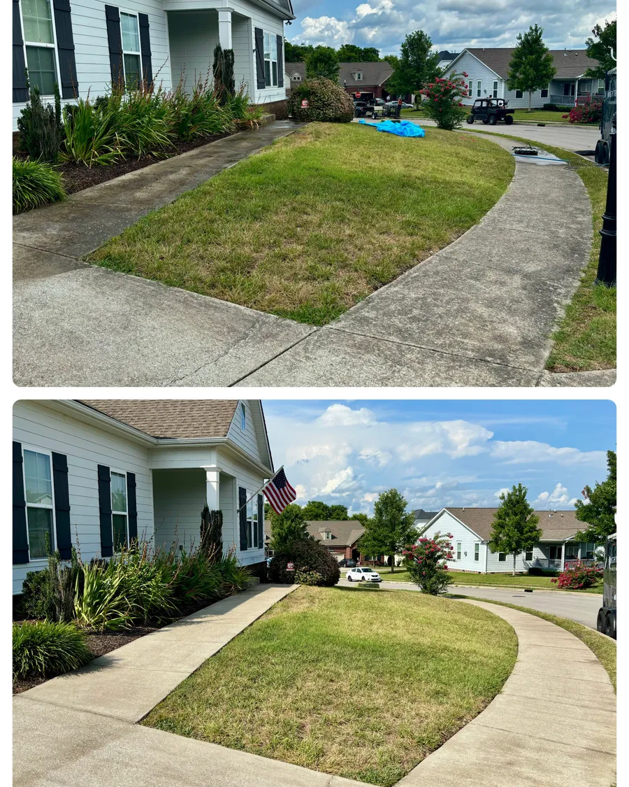 Before and after concrete driveway and walkway cleaning in Williamson County, TN
