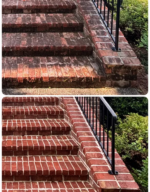 Close-up of a cleaned asphalt shingle roof