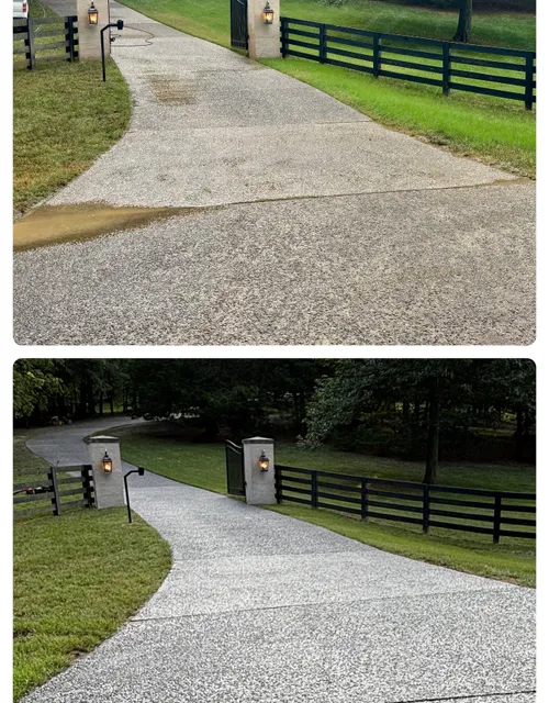 Cleaned stone paver walkway